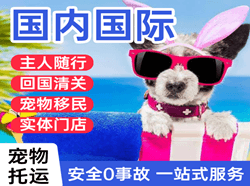新桥空运地址国际宠物托运 【国